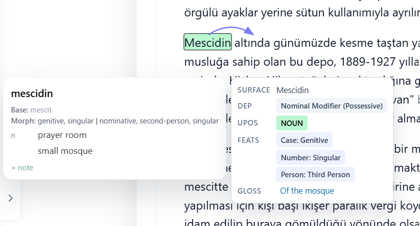 Turkish dictionary entry popup with cropped focus